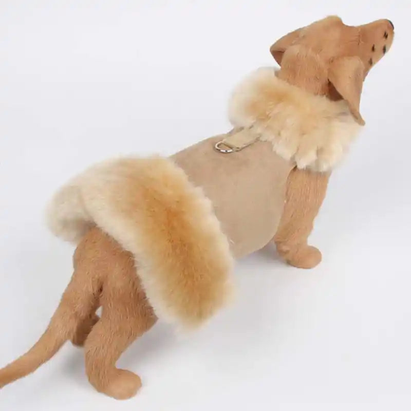 Dog in fur 2024 coat