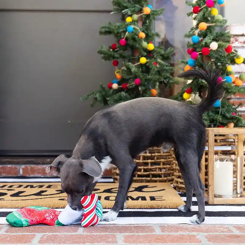 christmas stocking dog toy styled