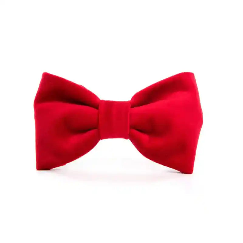 foggy dog cranberry red dog bow-tie