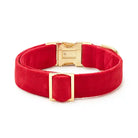 Foggy Dog Cranberry Red Velvet Dog Collar