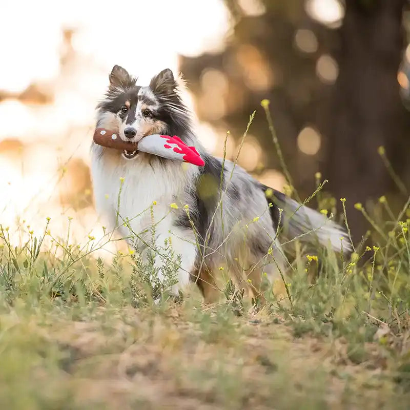 P.L.A.Y. doggy dagger halloween toy