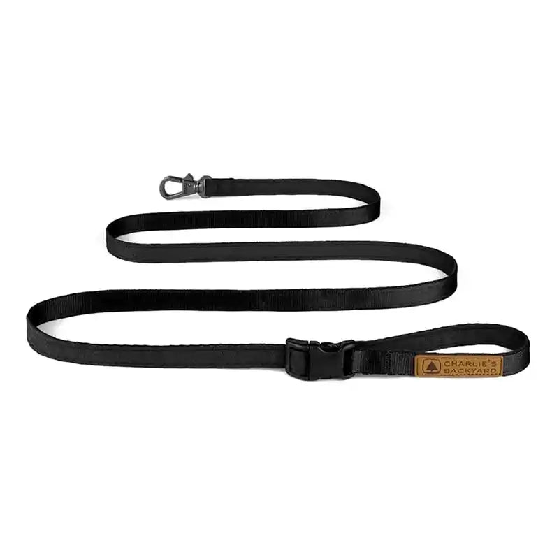 Easy lead shop leash