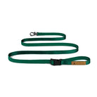 charlie's backyard easy leash green