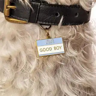 two tails 'hello my name is good boy' dog id tag