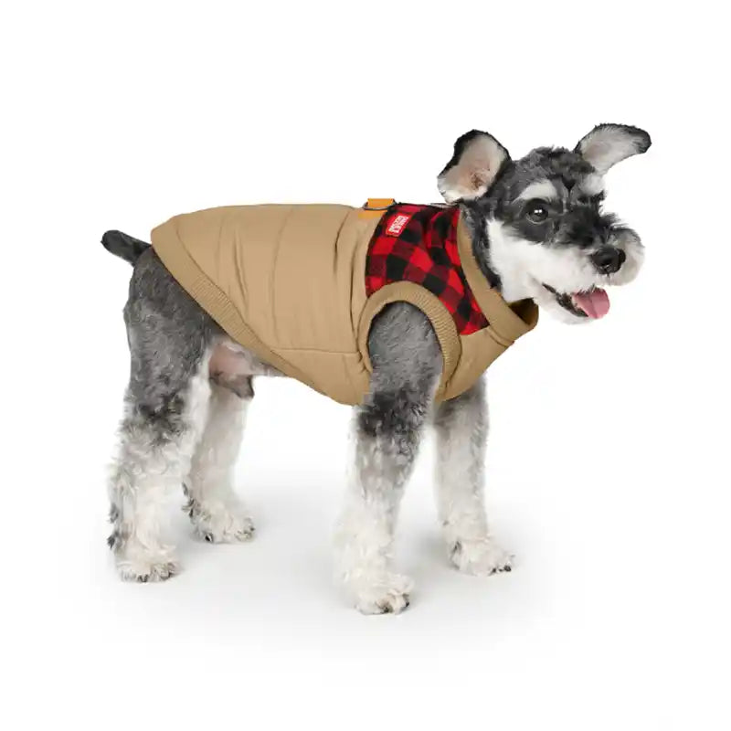 charlie's backyard harness jacket