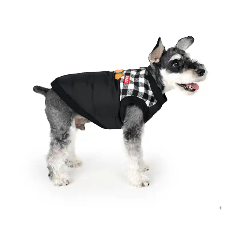 charlie's backyard harness jacket