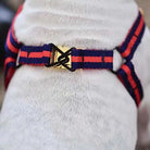 saint rue le classic striped harness