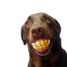 Humunga Bling Dog Toy