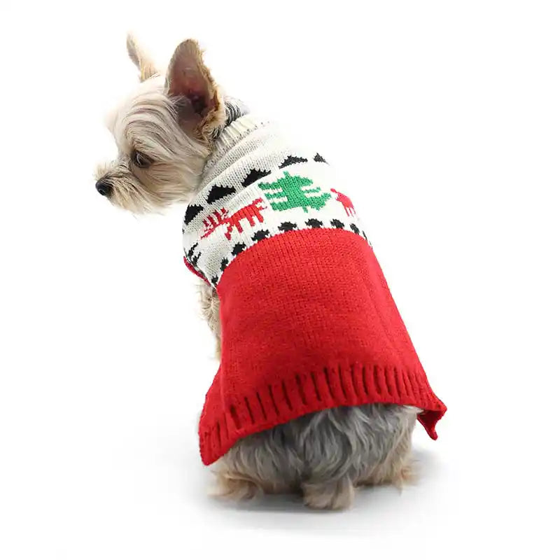 red apres ski style dog sweater styled