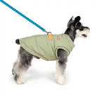 schnauzer modeling charlie's backyard padded harness jacket in green