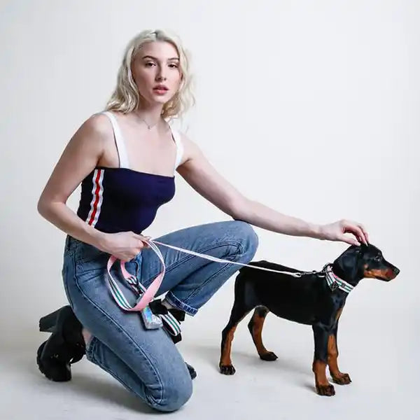 saint rue le classic collar with rose emblem and gold antique / matte black hardware