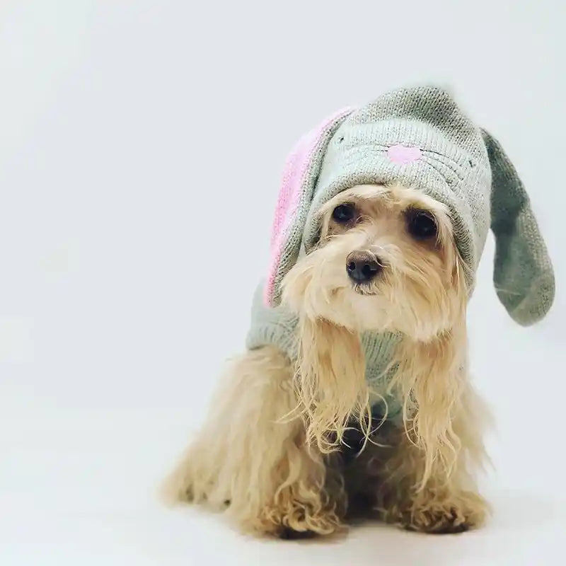 bunny hoodie for dogs