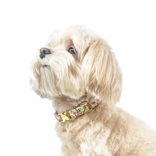 Made By Cleo Rifle Paper Co Juliet Pink Floral Small Dog Collar