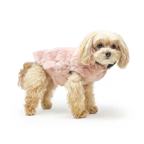 Pink Faux Fur Dog Coat on dog