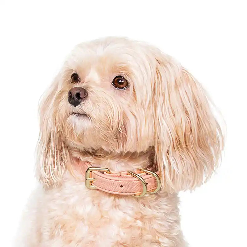 pink peach saffiano faux leather luxury dog collar