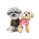 Velour Tracksuit for Dogs