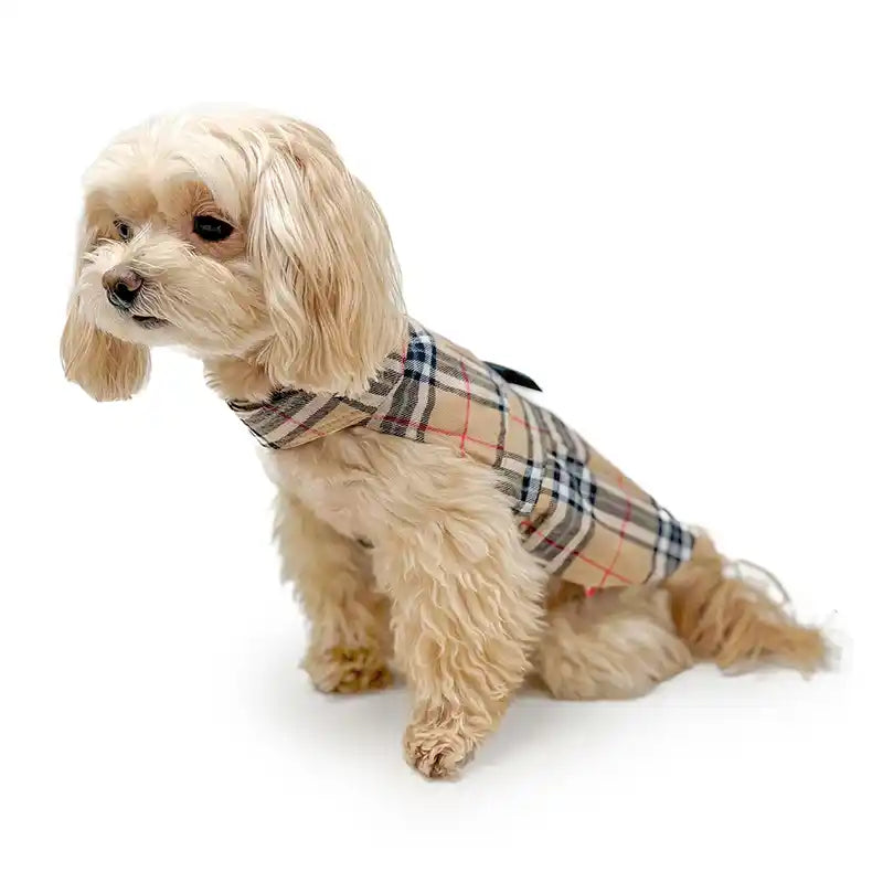 tan plaid dog dress