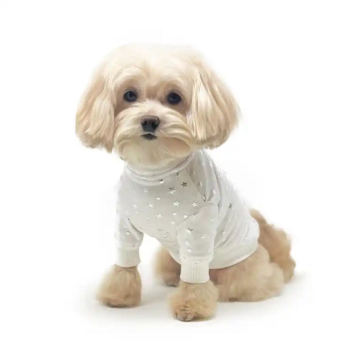 le chien bleu little prince stars dog sweater