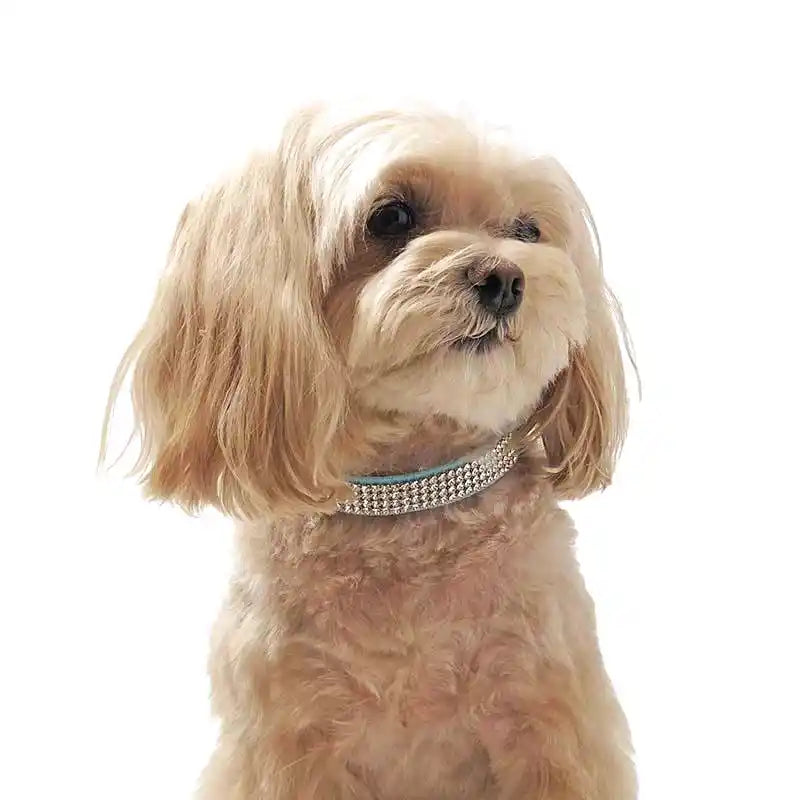 Susan Lanci 4 Row Swarovski Crystal Giltmore Pet Collar