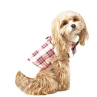 pink plaid shearling dog jacket