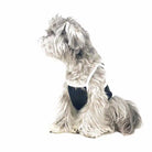 cc chanel pet tank top