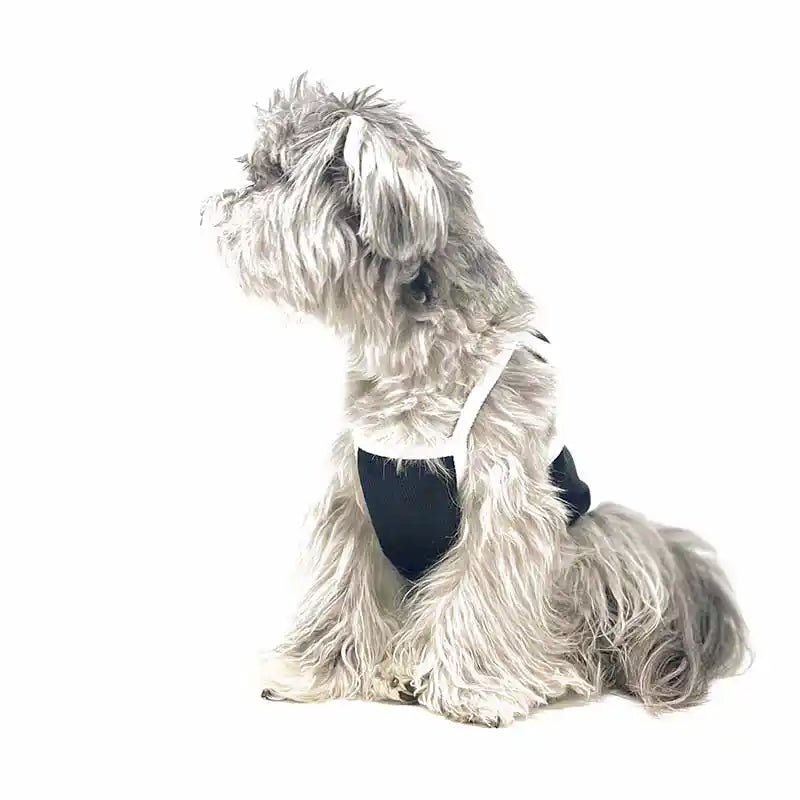 cc chanel pet tank top