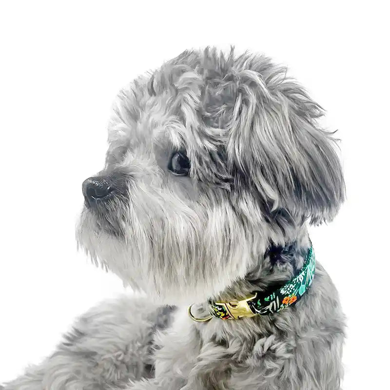 Made By Cleo Rifle Paper Co Meadow Green Floral Cat Dog Breakaway Collar