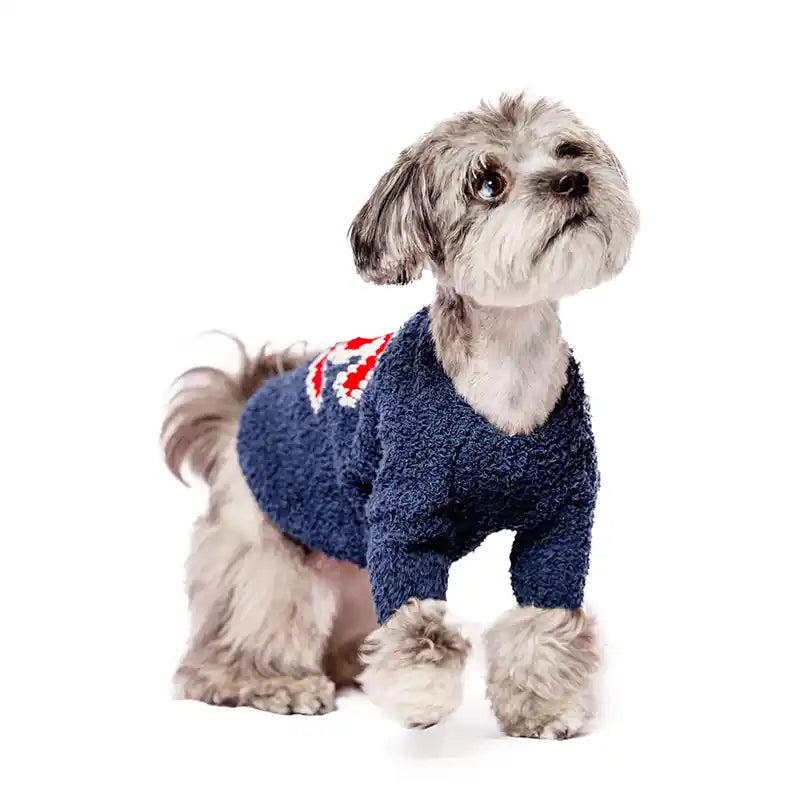 navy chanel cc teddy dog sweater