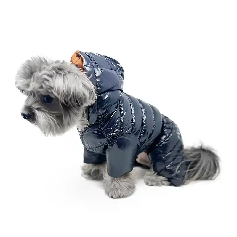 dog snow suit