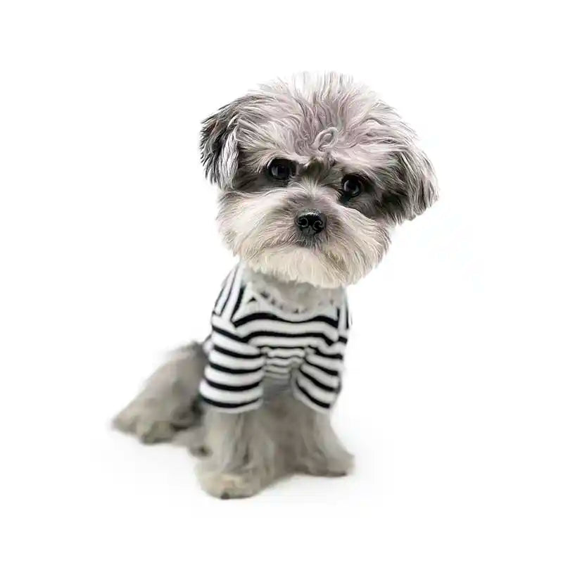 dog wearing black striped tee 