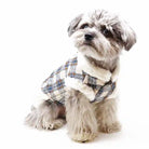 Blue Plaid Shearling Dog Jacket