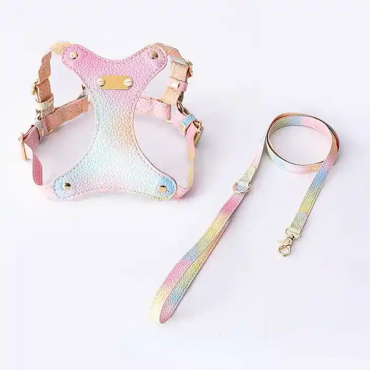 ombre vegan leather harness & leash set for small dog or cat