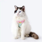 cat wearing ombre vegan leather harness & leash set for small dog or cat
