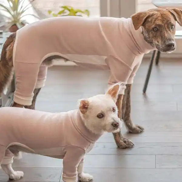 2 dogs wearing furry folks pink dog jumpsuit