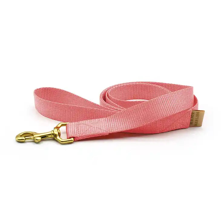 pink nylon dog leash with brass hardware