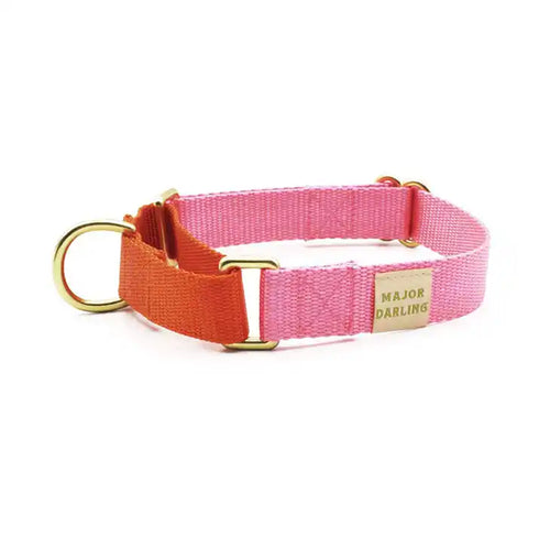 pink with orange martingale collar