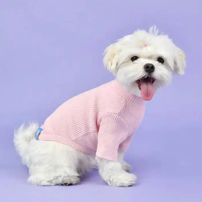 pink dog turtleneck styled