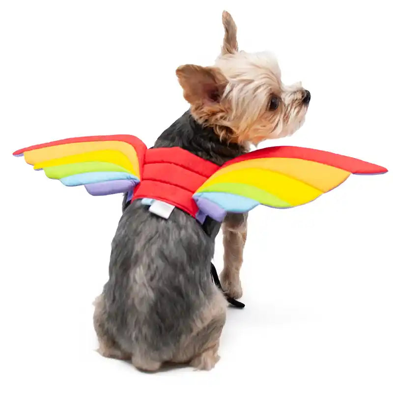 rainbow wings dog costume