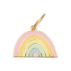 rainbow pet id tag
