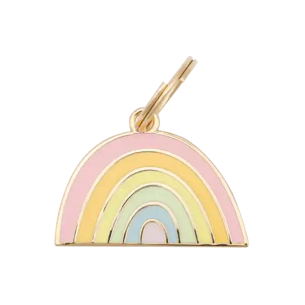 rainbow pet id tag