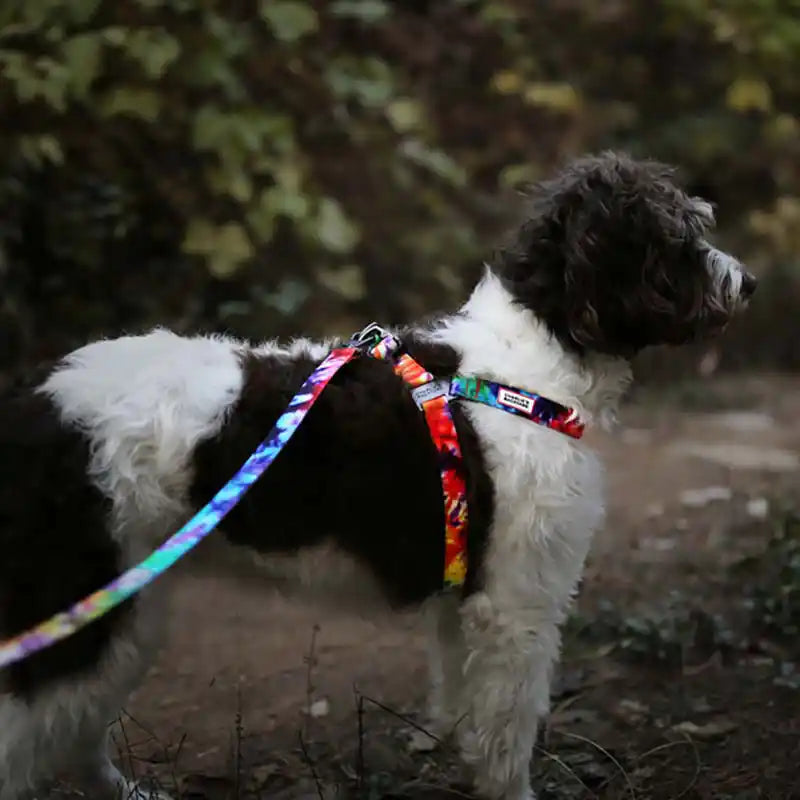 charlie's backyard hands free tie dye rover leash styled
