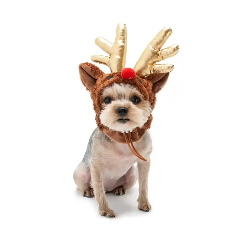 Dog reindeer deals hat