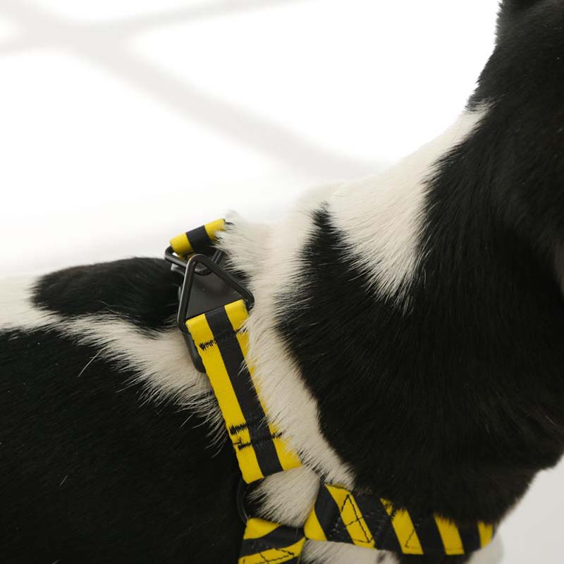 Saint Rue Yield Sport Dog Harness