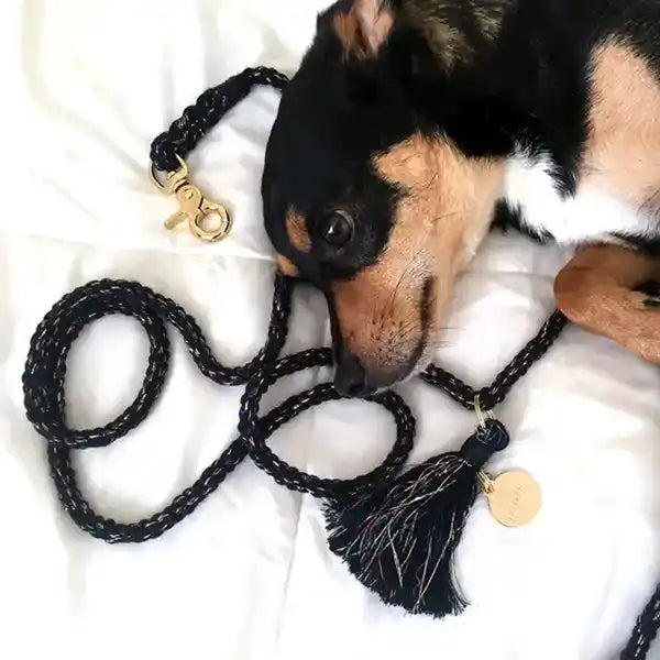 black rope leash - satellite notyers dog leash