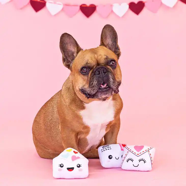 Love Letters 3-piece Set Small Dog Toys Styled