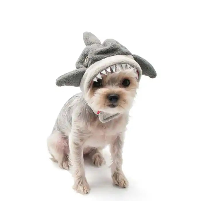 shark hat dog costume styled
