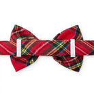 foggy dog tartan red plaid dog bow-tie back