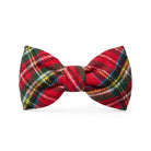 foggy dog tartan red plaid dog bow-tie