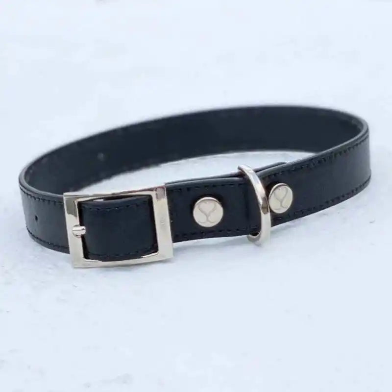 Vegan collar best sale