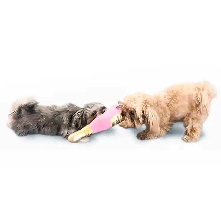 dogs tug-of-war with brut rose toy